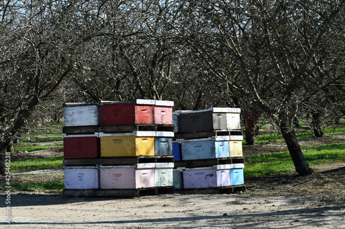 Vertical shot of colorful beehives stacked on top of each other © Andrew