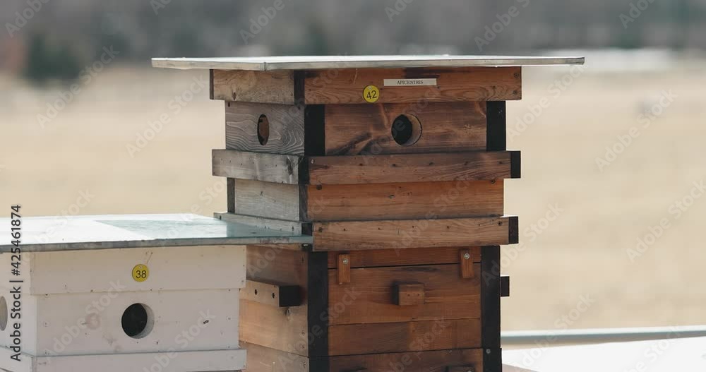 A beekeeping Langstroth hive farm close up with a meadow in the background during the early spring. A beekeeping Langstroth hive farm close up with a meadow in the background during the early spring.