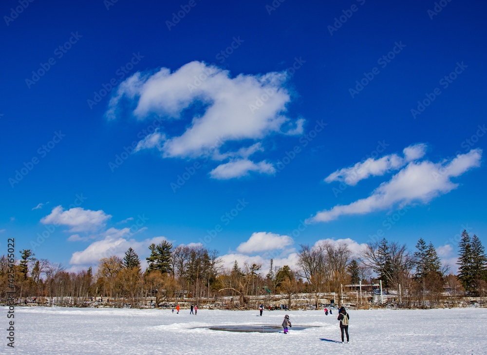 Landscape of the park from the frozen lake