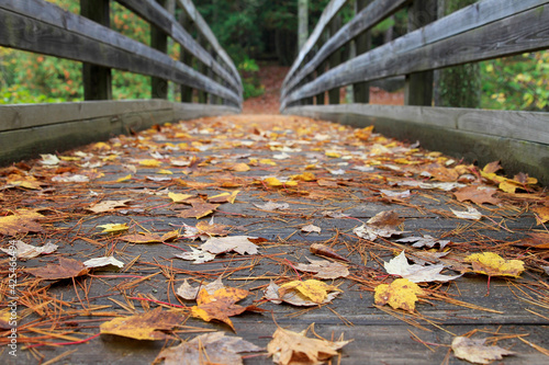 Colorful Fall Leaves on Wooden Foot Bridge in Dave's Falls Park, Amberg Wisconsin photo