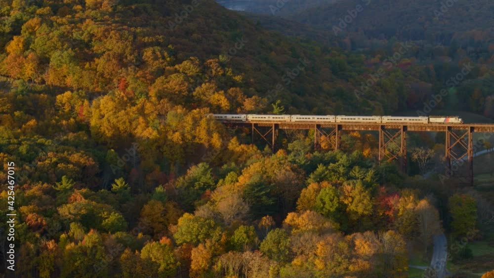 Aerial of train passing over railroad bridge through autumn forest Aerial of train passing over railroad bridge through autumn forest