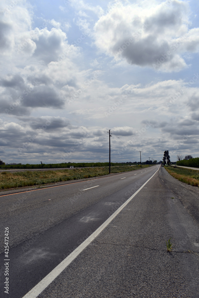 Vertical shot of an empty road