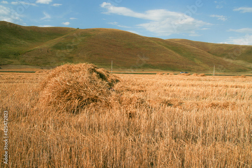 Stack of freshly cut hay on the field. The landscape of the hills.