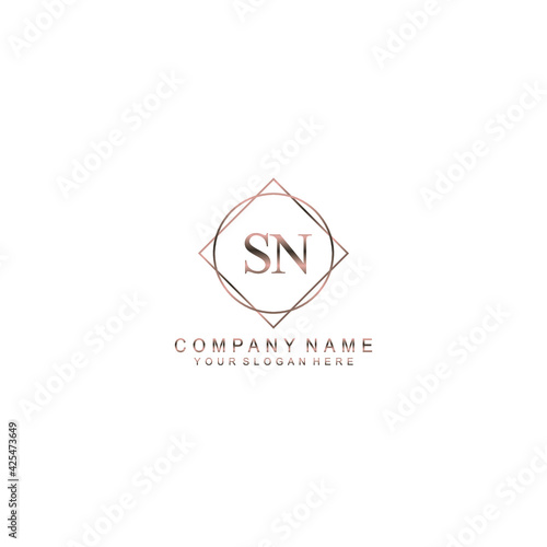 SN Initials handwritten minimalistic logo template vector