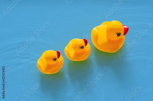 Yellow rubber duck mother leading her babies on blue water background. Minimal mother day and summer concept.