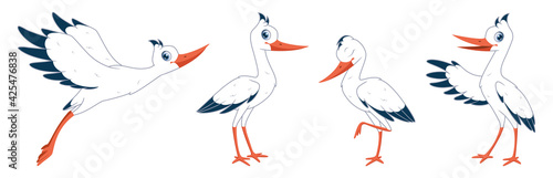 Cartoon set of storks in different poses. Cartoon vector illustration