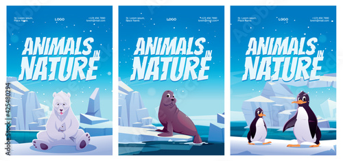 Animals in nature posters with penguin, polar bear and seal on floe. Vector flyers of zoo or natural park with cartoon illustration of wild animals of Antarctica, North pole and Alaska
