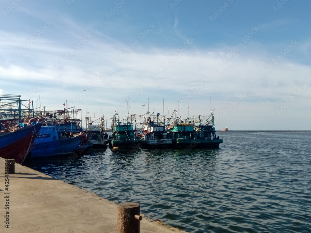 boats in the harbor