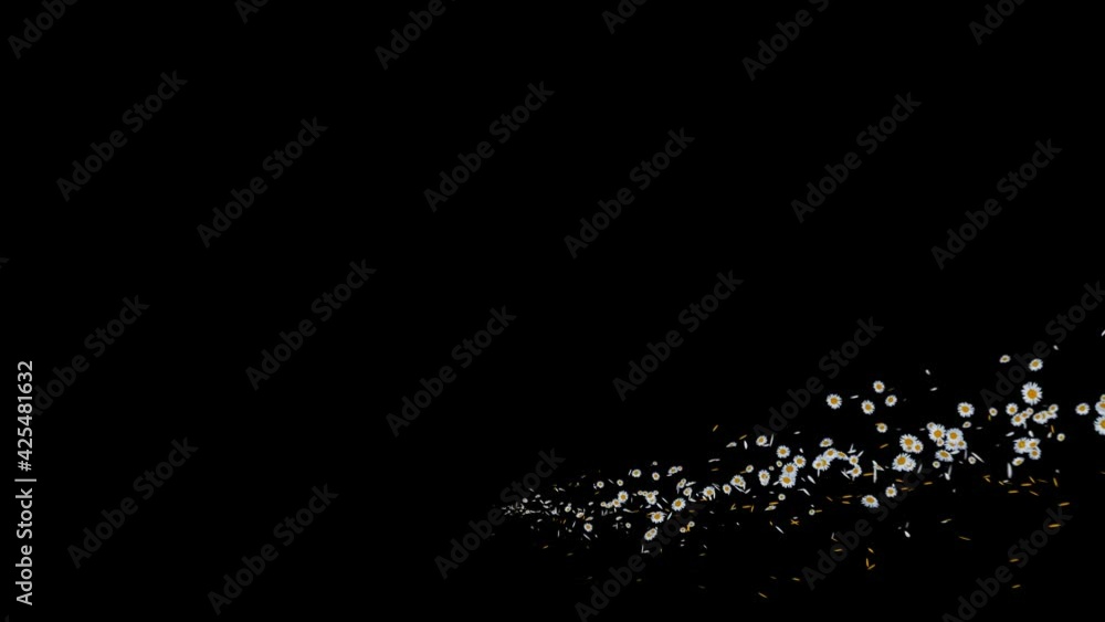 Daisy Flow Curve with Alpha Channel. 3D rendering. Easy to use place on footage or background. Daisy Flow Curve with Alpha Channel. 3D rendering. Easy to use place on footage or background.