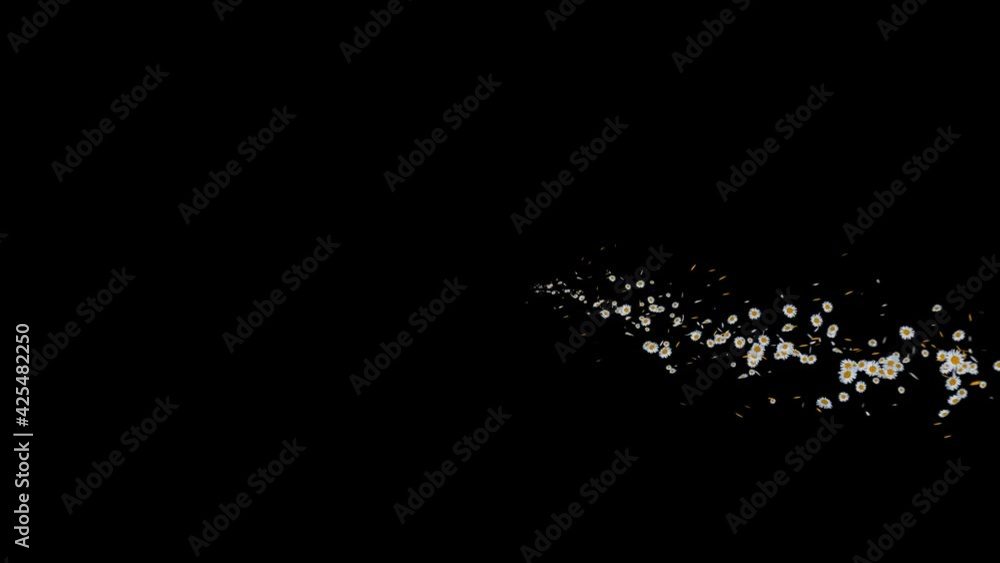 Daisy Flow Curve with Alpha Channel. 3D rendering. Easy to use place on footage or background. Daisy Flow Curve with Alpha Channel. 3D rendering. Easy to use place on footage or background.