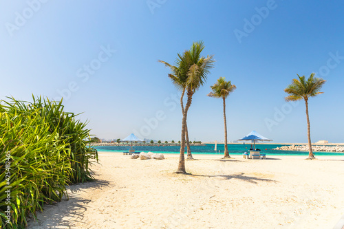Fototapeta Naklejka Na Ścianę i Meble -  Palm trees on Al Mamzar beach in Dubai