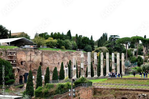 landscape with roman forum - Rome  Italy