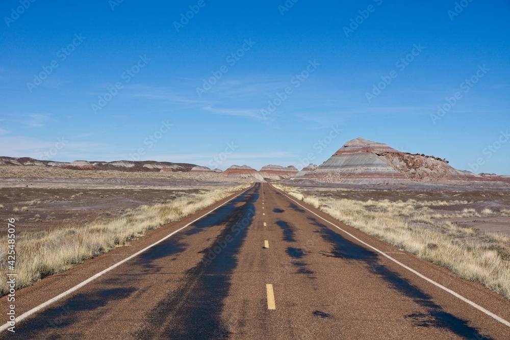 Empty road in Petrified Forest National Park in Arizona USA