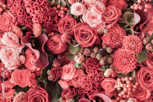Abstract background of flowers. Close-up
