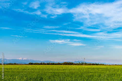 Evening in the countryside of Friuli