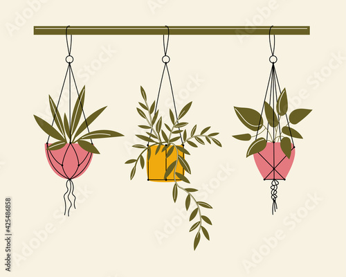 Set of simple houseplants in hanging planters. Vector flat illustration with indoor plants on macrame hangers