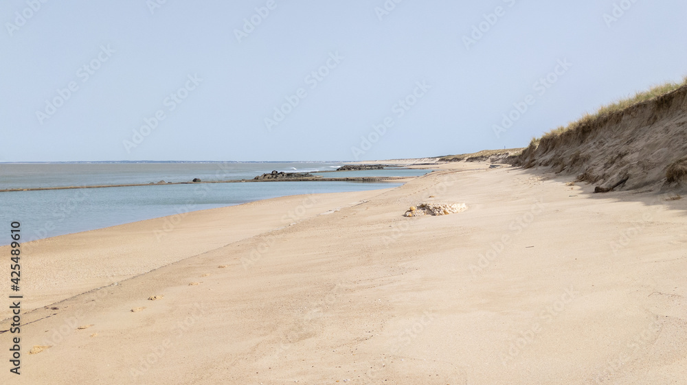 Sandy beach wild natural in soulac Le Verdon in Gironde France