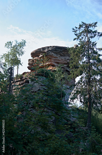 Single cliff in summer forest. Touristic, rock climbing and traveling concept