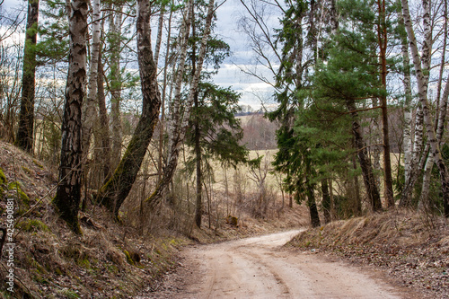 A dirt road leading through an old forest, located in Masuria, Poland, in the former Prussian lands near the city of Ełk