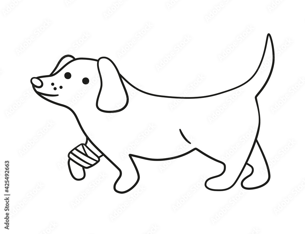 A sick dog with a wounded paw in bandages in doodle style. Unhealthy puppy with splinting leg. Hand drawn vector illustration