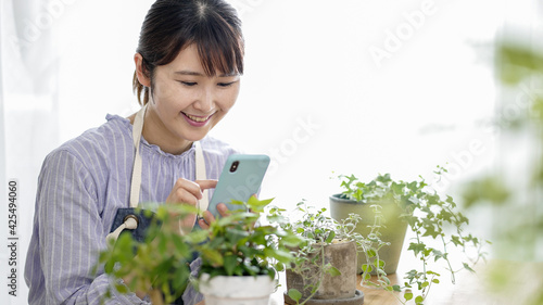 観葉植物をスマホで撮影する女性.