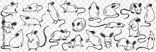 Funny white mice animals doodle set. Collection of hand drawn various funny cute mouse mice in different poses enjoying life isolated on transparent background photo