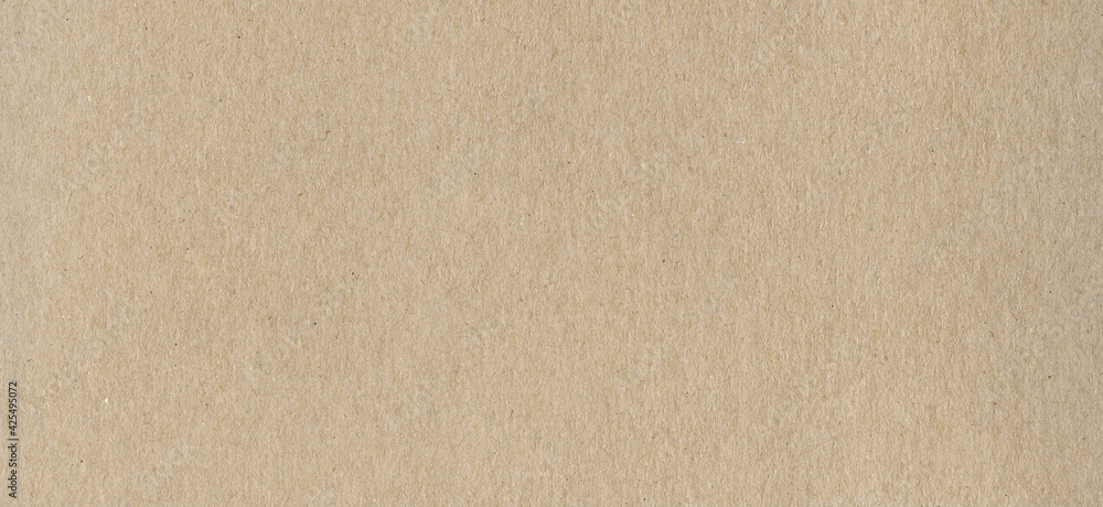 Clean beige cardboard paper background texture. Horizontal banner Clean beige cardboard paper background texture. Horizontal banner