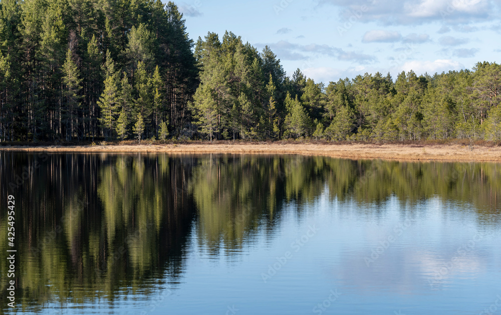 Obraz premium Calm lake reflection in a beautiful morning. 