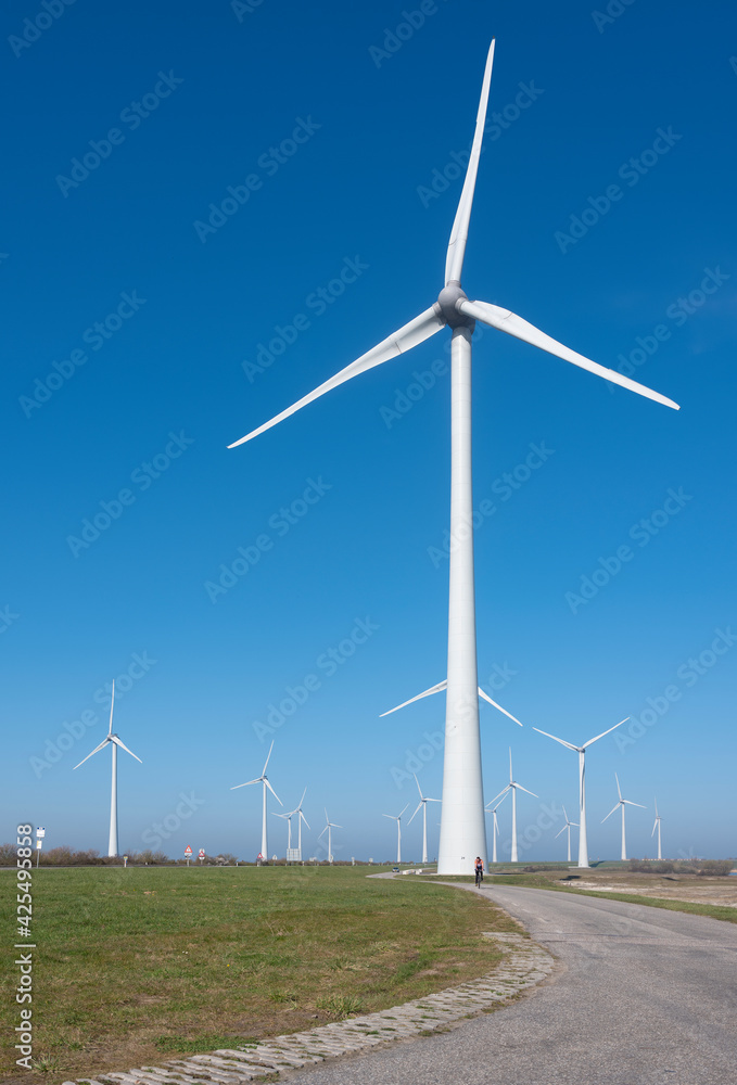 wind turbines under blue sky on philipsdam in dutch province of Zeeland wind turbines under blue sky on philipsdam in dutch province of Zeeland