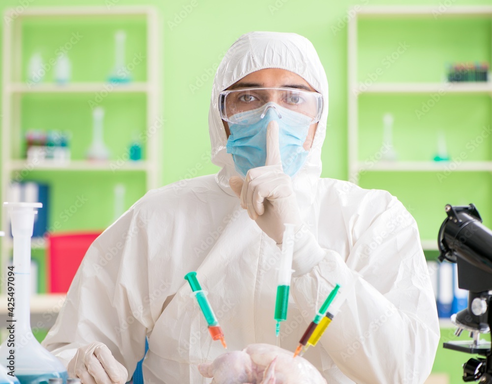 Lab assistant testing GMO chicken Lab assistant testing GMO chicken