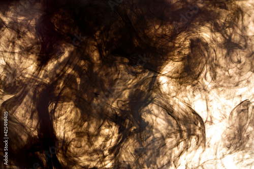 Cuadro en lienzo Abstract black ink swirling in water against bright background, dark smoky liqui