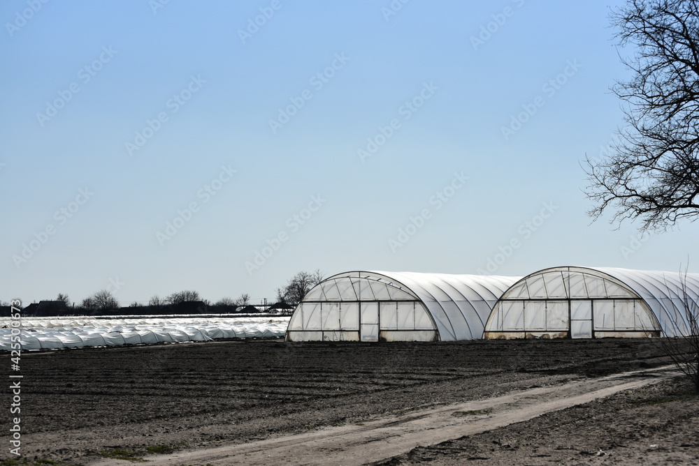 Set of greenhouses in Ukraine, early cultivation of crops photo Set of greenhouses in Ukraine, early cultivation of crops photo