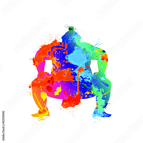  Vector sumo wrestler silhouette. Splash paint symbol