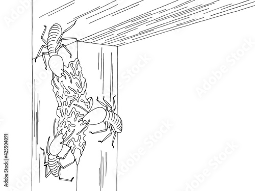 Termites gnawing a wooden beam graphic black white sketch illustration vector