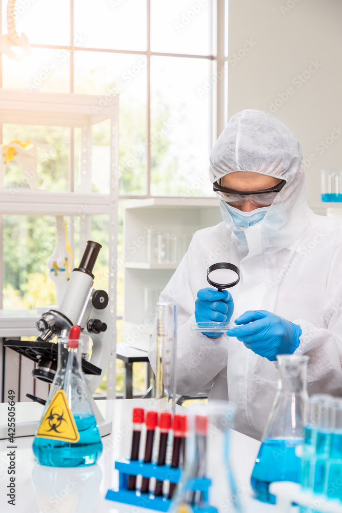Researcher in laboratory personal protective equipment suit or PPE conduct experiment with biohazard virus using magnifying glass to discover vaccine, science and medical concept. Researcher in laboratory personal protective equipment suit or PPE conduct experiment with biohazard virus using magnifying glass to discover vaccine, science and medical concept.