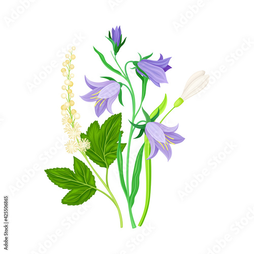 Wildflowers Composition with Meadow Plants and Flora Closeup View Vector Illustration