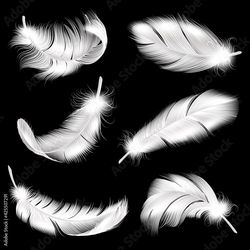 White feathers realistic set. Falling fluffy twirled bird plume in different angle, 3d flying angel or swan quill. Symbol of lightness and softness, vector isolated collection