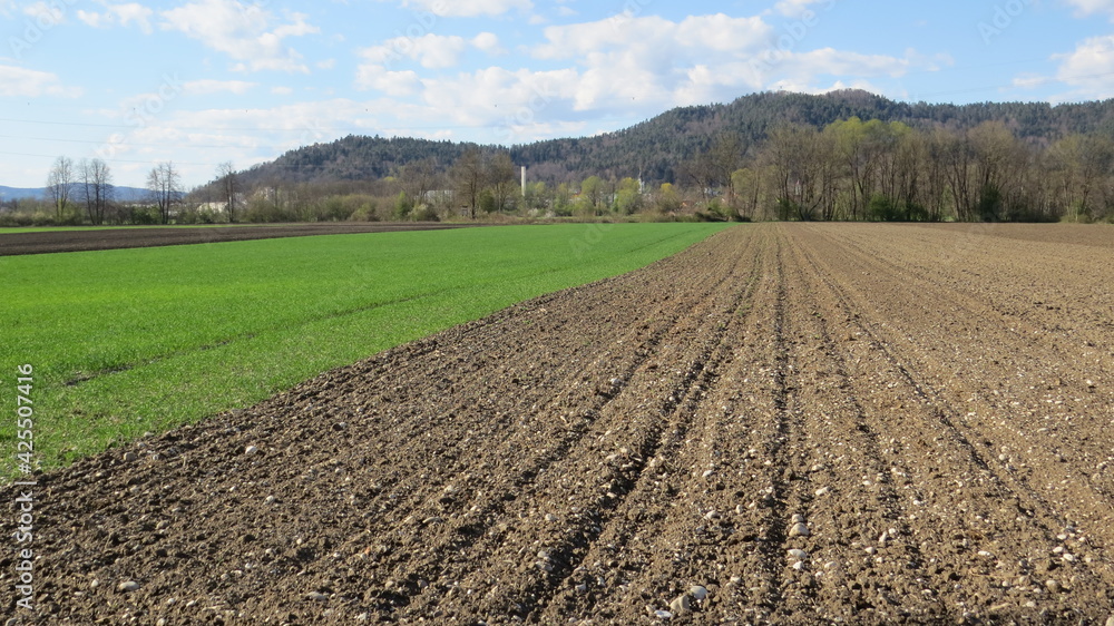 plowed field in spring plowed field in spring