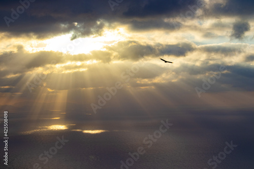 Sun rays passing trhoug clouds with an eagle