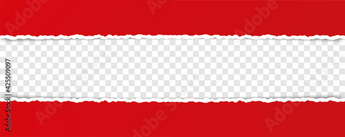vector red torn paper with ripped edges with space for your text
Free Download vector red torn paper with ripped edges with space for your text
- GFXLoad