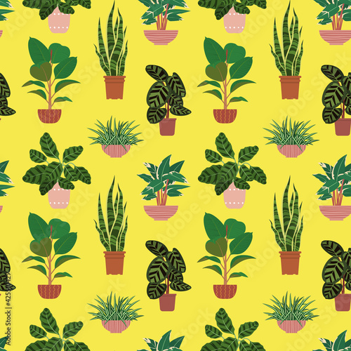 Seamless pattern with potted tropical house plants in colorful flower pots. On a yellow background. Vector illustration.