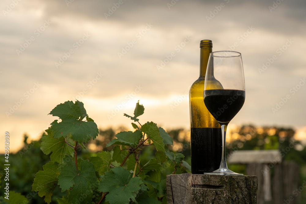 A glass of red wine and a bottle on the background of the vineyard and the sky