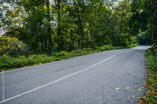empty road in the countryside forest