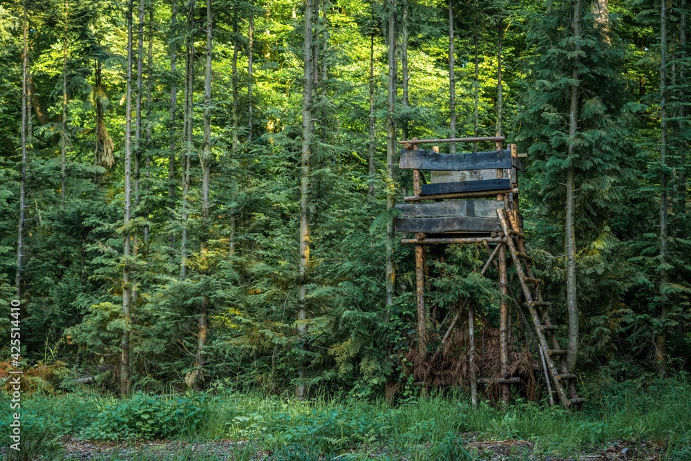 A hunting stand in the Rottbachtal forest in Muelheim an der Ruhr, North Rhine-Westphalia, Germany A hunting stand in the Rottbachtal forest in Muelheim an der Ruhr, North Rhine-Westphalia, Germany