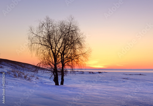 Sunrise over the winter bank of the Ob River. The silhouette of a bare tree among the snowdrifts, the orange golden sky on the horizon. Nature of Siberia, Russia © ArhSib