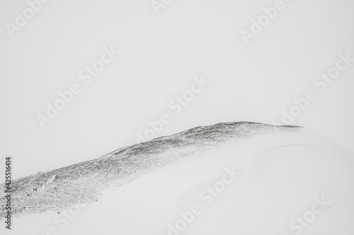 Winter lanscape in whiteout