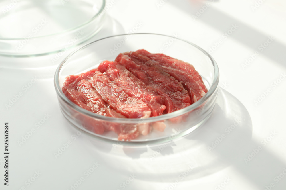 Petri dish with pieces of raw cultured meat on white table Petri dish with pieces of raw cultured meat on white table