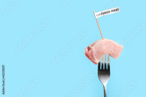 Sample of lab grown pork labeled Cultured Meat on fork against light blue background. Space for text © New Africa