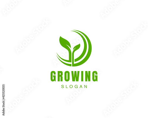 Grow leaf logo, green logo vector, greenhouse logo abstract.