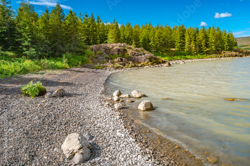 Biggest in Iceland lake called Lagarfjot at sunny day and blue cloudy sky, summer. photo